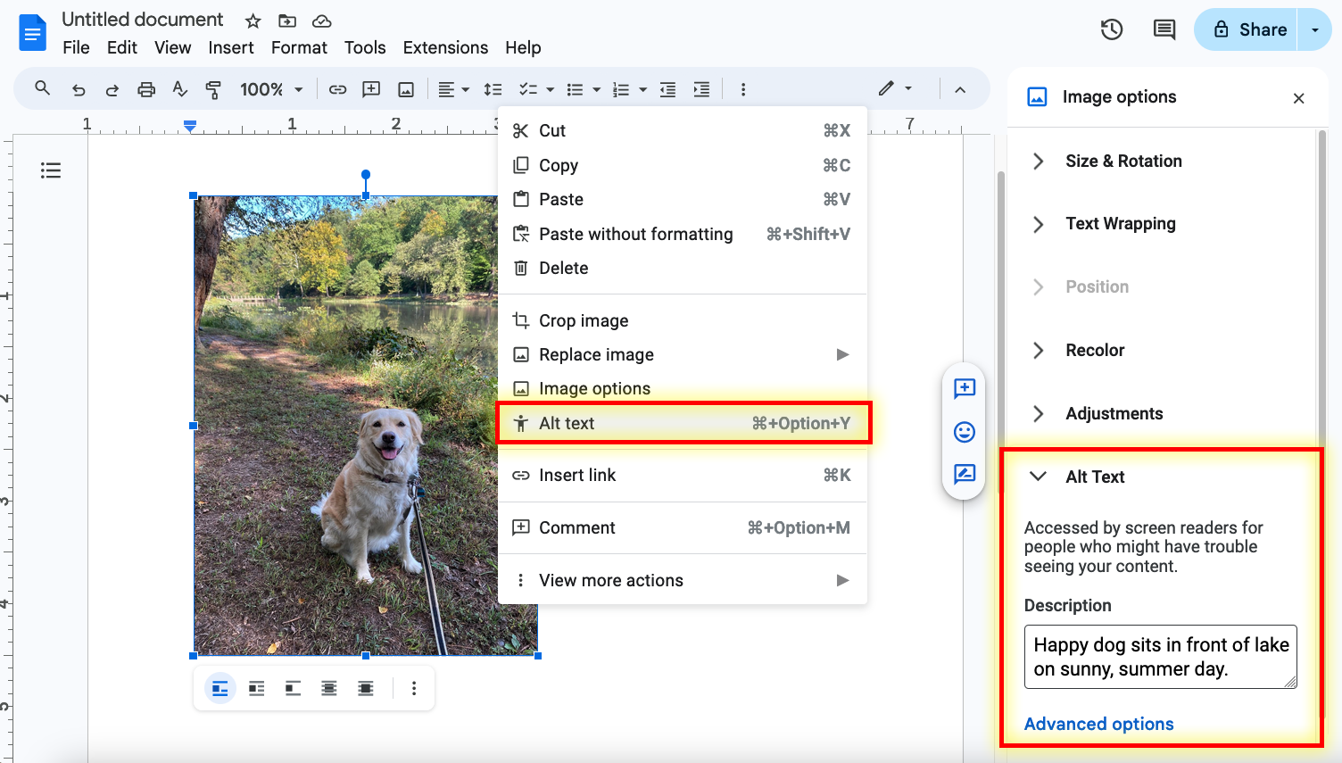 Screenshot of Google doc with a picture of a dog sitting by a lake. Highlighted in a bright red box is the alt text option in the right click menu as well as the form field where you can enter alt text. Alt text reads 'Happy dog sits in front of lake on sunny, summer day.'